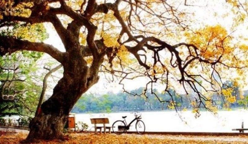 15 bài thơ về mùa thu tuyệt vời, sâu sắc và chạm đến trái tim