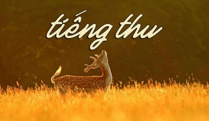 15 bài thơ về mùa thu tuyệt vời, sâu sắc và chạm đến trái tim