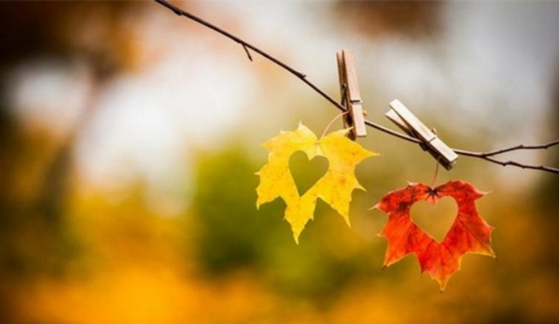 15 bài thơ về mùa thu tuyệt vời, sâu sắc và chạm đến trái tim