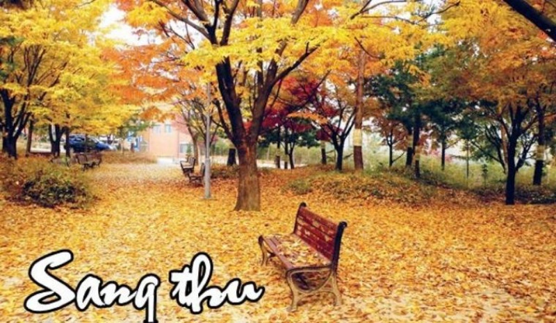 15 bài thơ về mùa thu tuyệt vời, sâu sắc và chạm đến trái tim