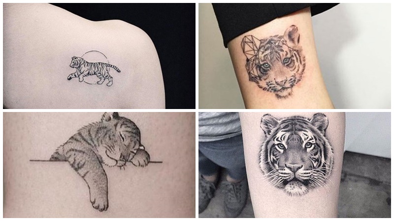 Tổng hợp 60+ mẫu hình xăm con hổ đẹp nhất và ý nghĩa của chúng