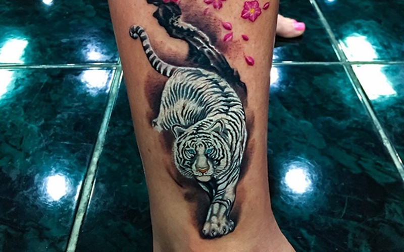 Tổng hợp 60+ mẫu hình xăm con hổ đẹp nhất và ý nghĩa của chúng