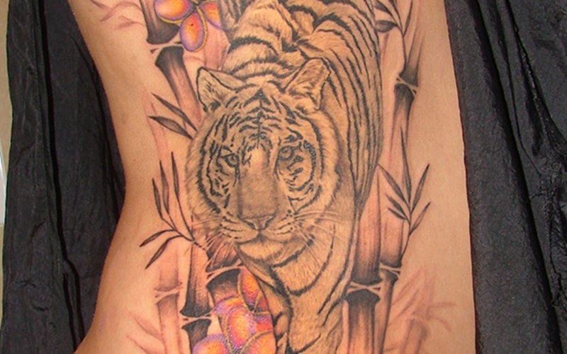 Tổng hợp 60+ mẫu hình xăm con hổ đẹp nhất và ý nghĩa của chúng