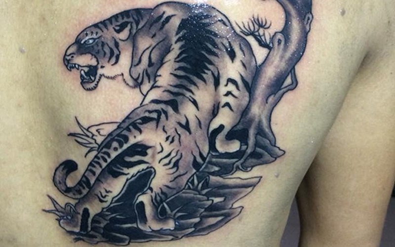 Tổng hợp 60+ mẫu hình xăm con hổ đẹp nhất và ý nghĩa của chúng