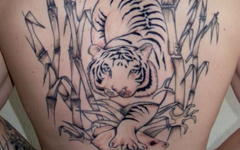 Tổng hợp 60+ mẫu hình xăm con hổ đẹp nhất và ý nghĩa của chúng