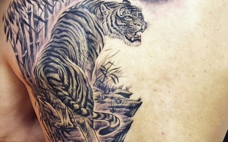 Tổng hợp 60+ mẫu hình xăm con hổ đẹp nhất và ý nghĩa của chúng