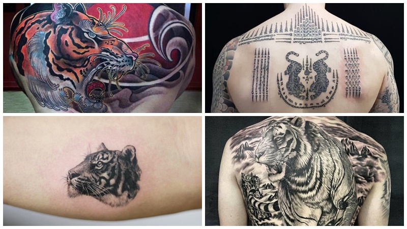 Tổng hợp 60+ mẫu hình xăm con hổ đẹp nhất và ý nghĩa của chúng