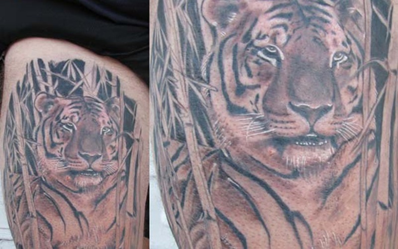Tổng hợp 60+ mẫu hình xăm con hổ đẹp nhất và ý nghĩa của chúng