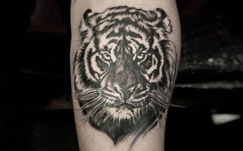 Tổng hợp 60+ mẫu hình xăm con hổ đẹp nhất và ý nghĩa của chúng