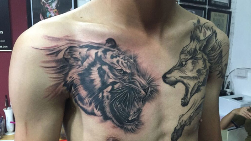 Tổng hợp 60+ mẫu hình xăm con hổ đẹp nhất và ý nghĩa của chúng