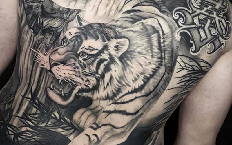 Tổng hợp 60+ mẫu hình xăm con hổ đẹp nhất và ý nghĩa của chúng