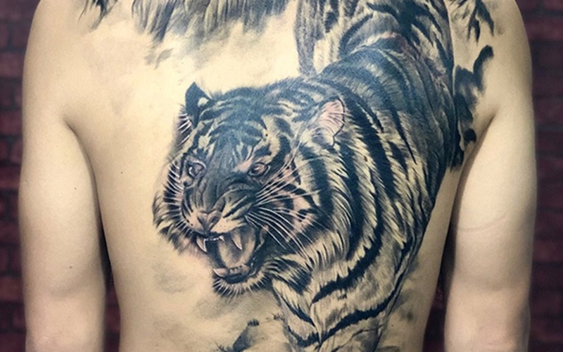 Tổng hợp 60+ mẫu hình xăm con hổ đẹp nhất và ý nghĩa của chúng