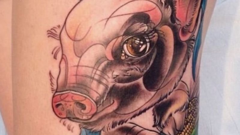 Tổng hợp 40+ hình xăm con heo đẹp nhất, ý nghĩa hình xăm con heo