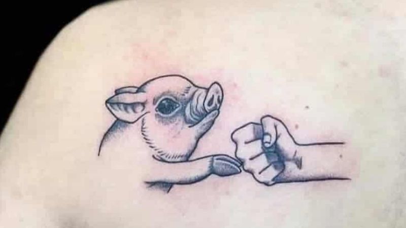 Tổng hợp 40+ hình xăm con heo đẹp nhất, ý nghĩa hình xăm con heo