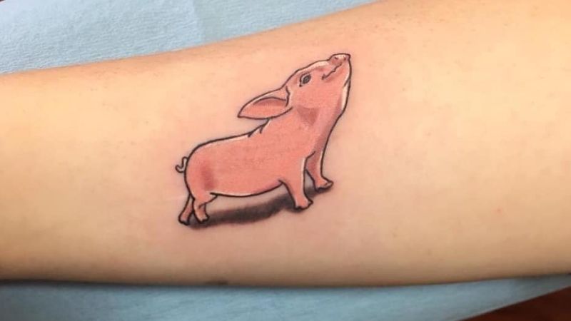 Tổng hợp 40+ hình xăm con heo đẹp nhất, ý nghĩa hình xăm con heo
