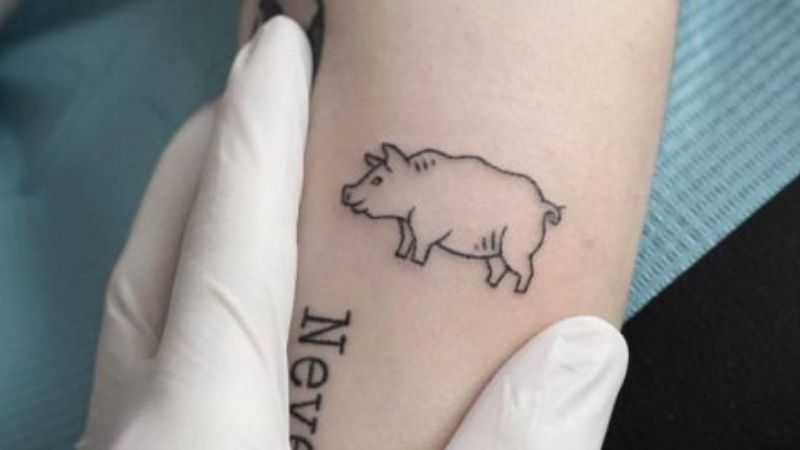 Tổng hợp 40+ hình xăm con heo đẹp nhất, ý nghĩa hình xăm con heo