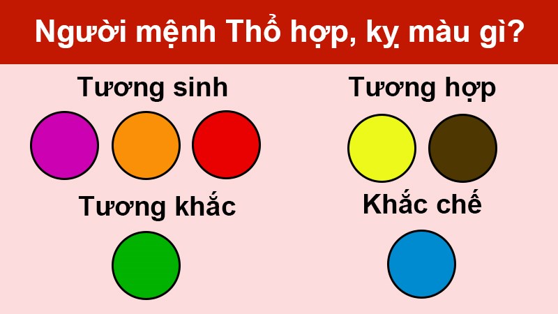 Câu hỏi thường gặp