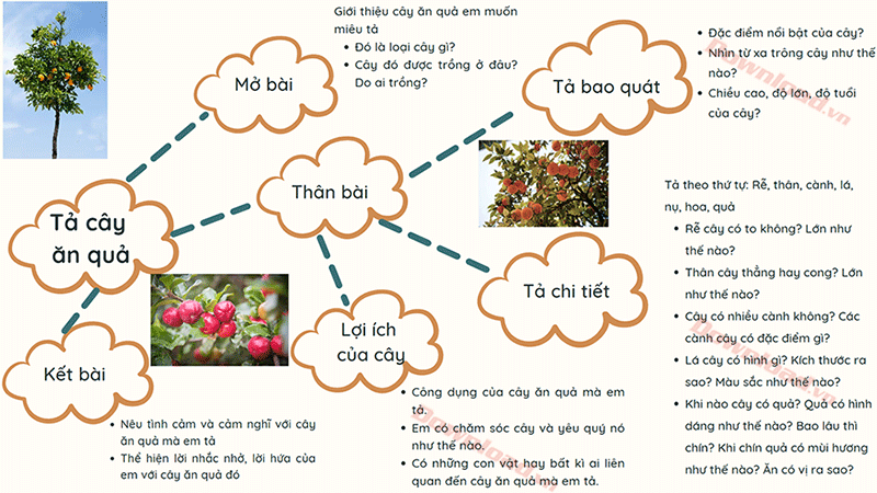 Dàn Ý Bài Văn Tả Cây Ăn Quả Lớp 4: Hướng Dẫn Chi Tiết