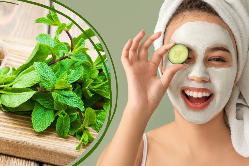 Top 10+ cách làm mặt nạ bạc hà giúp dưỡng da tại nhà cho các mẹ sau sinh