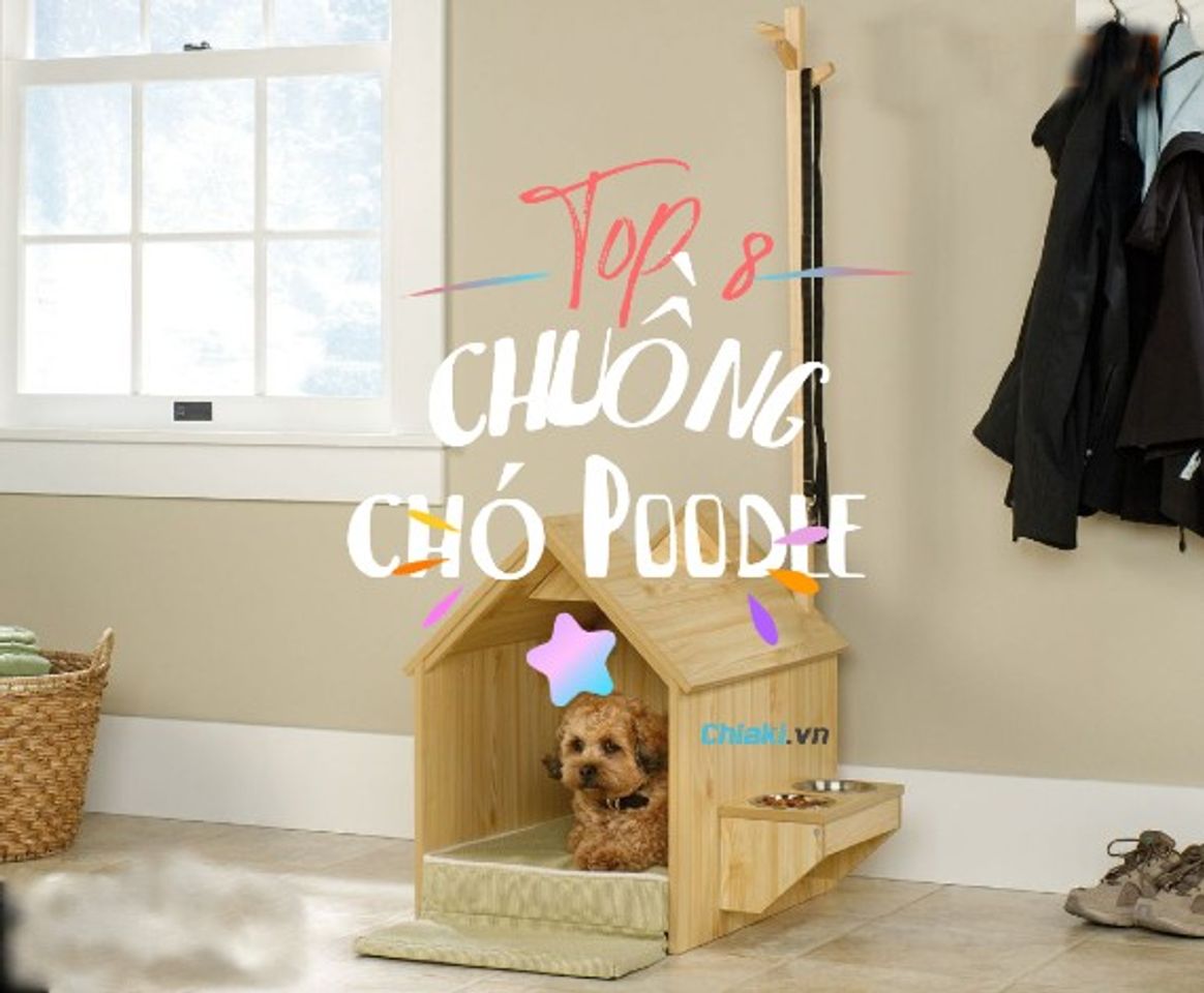 Danh sách chuồng chó Poodle