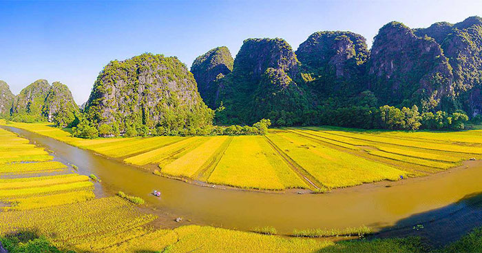 Bài Văn Tả Cảnh Cánh Đồng Vào Buổi Sáng Sớm - Sắc Màu Bình Yên