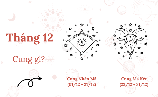 Sinh Ngày 31 Tháng 12 Là Cung Gì?