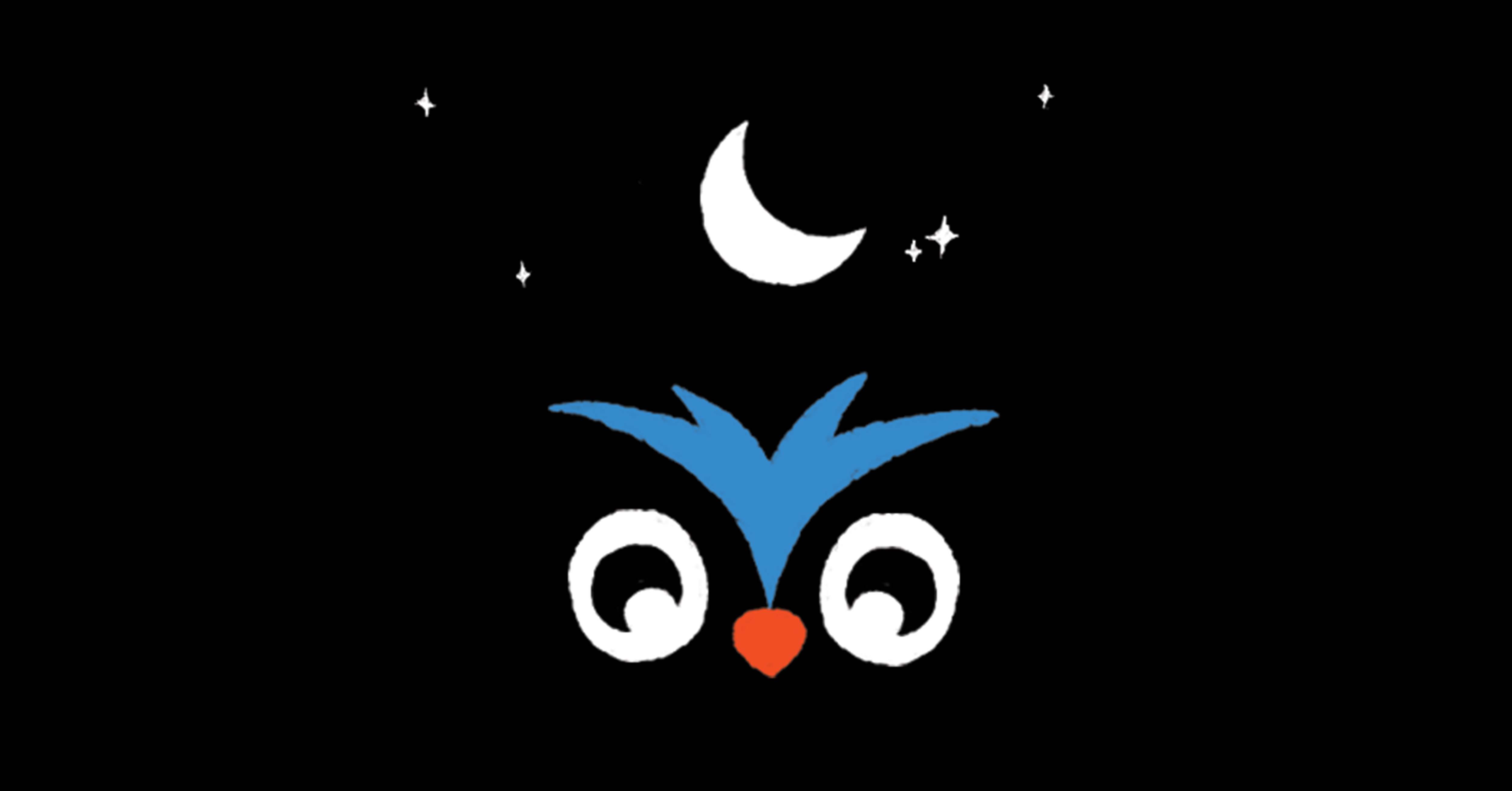 What does a night owl mean? Definition and usage in English
