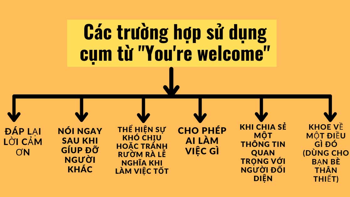 You're Là Gì? Khám Phá Ý Nghĩa, Cách Sử Dụng và Những Lợi Ích