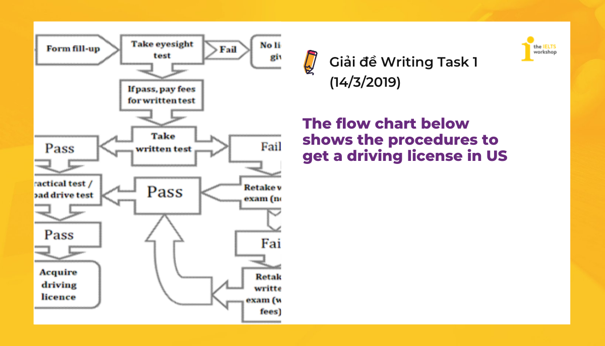 Topic: IELTS Writing Task 1 Driving License | Sample Essay + Vocabulary