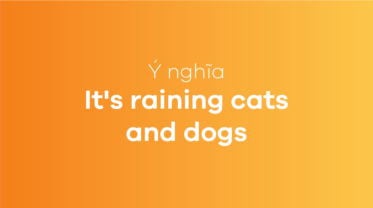 What does It's raining cats and dogs mean? Origins, meanings, and usage Mytour