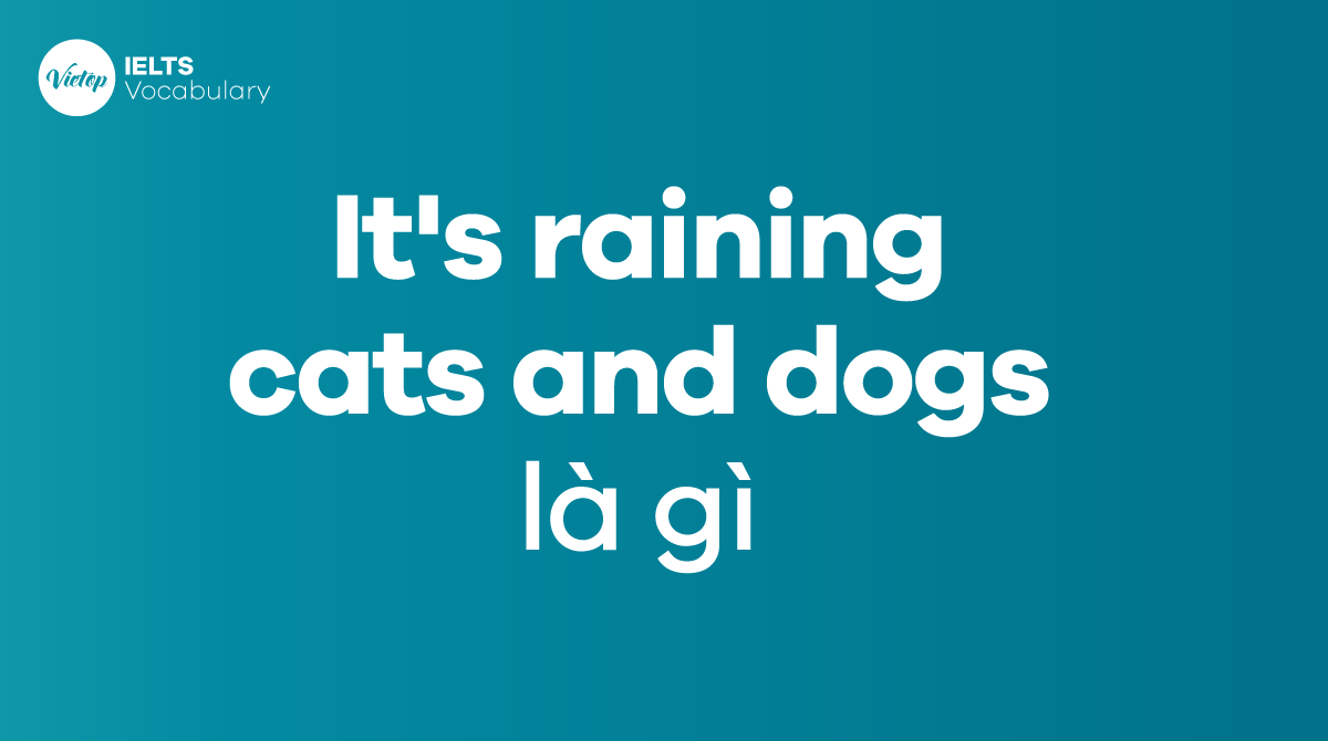 What does It's raining cats and dogs mean? Origins, meanings, and usage Mytour