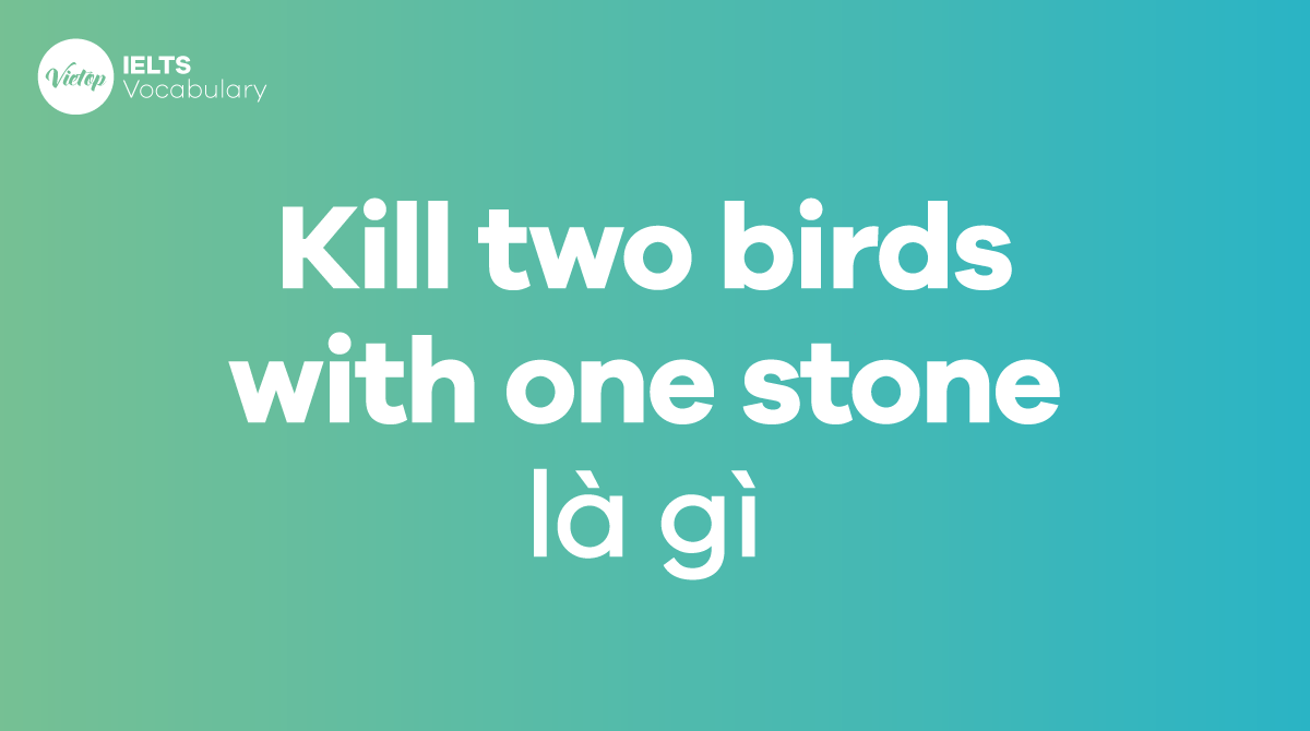 Kill 2 Birds With One Stone Origin Kill two birds with one stone là gì? Ý nghĩa, nguồn gốc và cách sử dụng