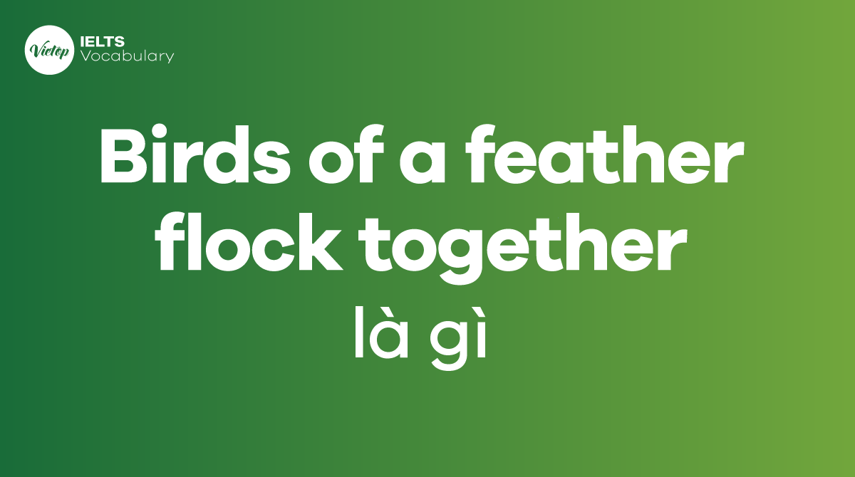 Birds of a Feather Flock Together là gì? Giải thích thành ngữ và ví dụ ứng dụng