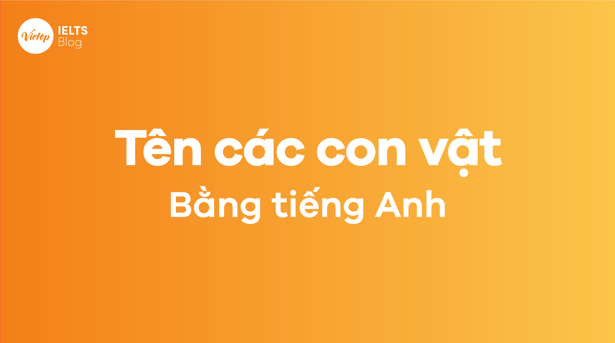 Đầy đủ tên của các loài động vật dễ thương bằng tiếng Anh cùng với phiên âm - Mytour