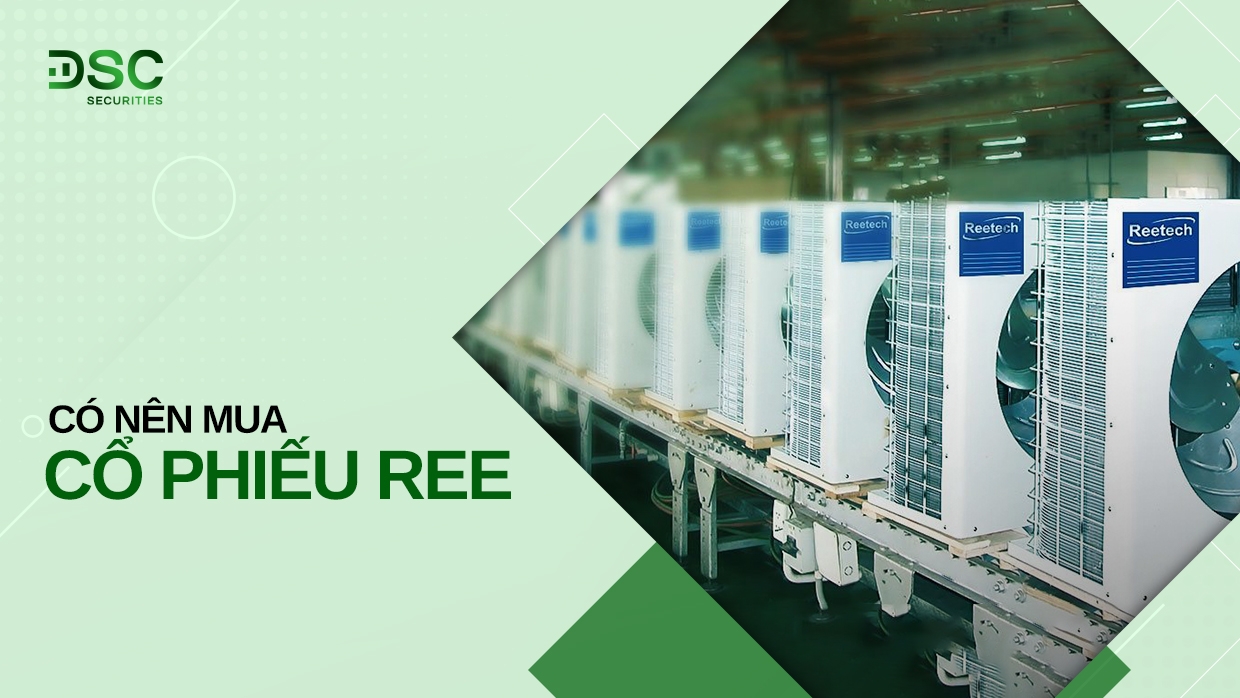 Có nên đầu tư vào cổ phiếu REE - Công ty Cổ phần Cơ Điện Lạnh?