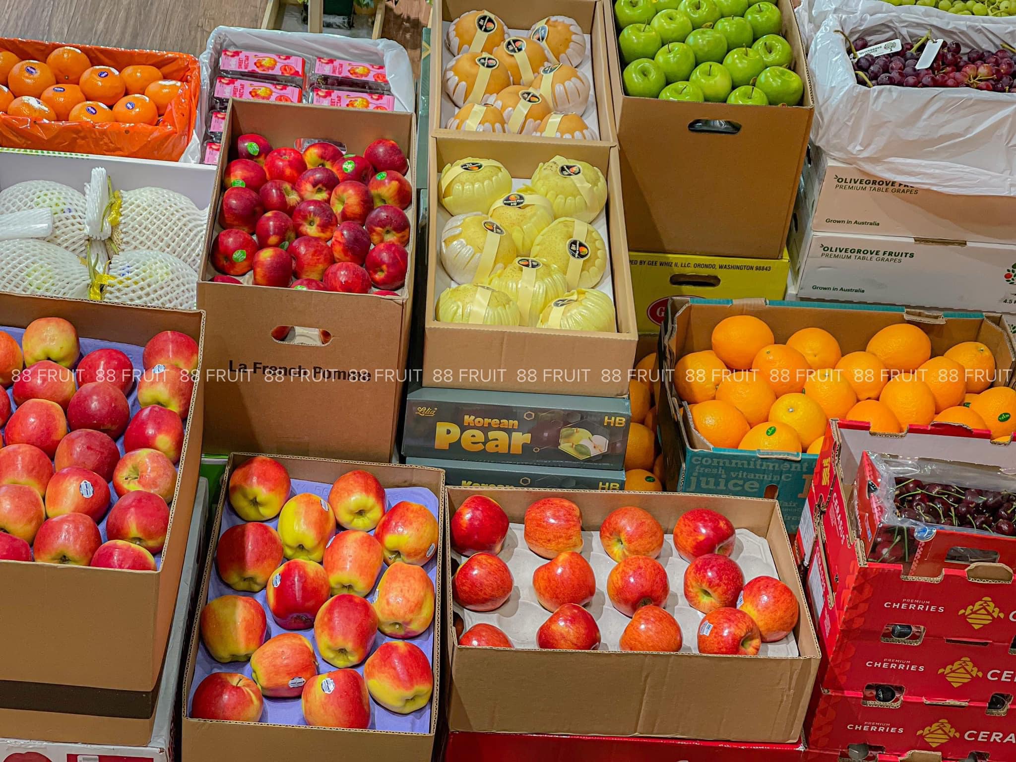 Trái Cây Sạch Vũng Tàu: Giỏ, Hộp Quà Tặng Ý Nghĩa  Tươi Ngon