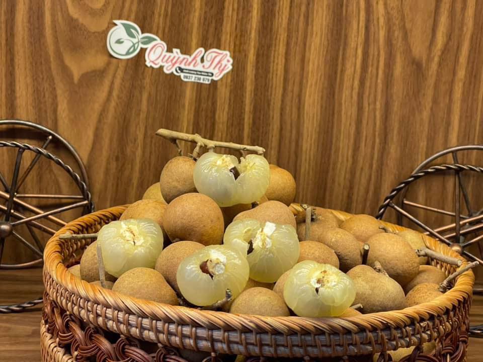 Hoa Tươi  Trái Cây Vũng Tàu | Khai Trương, Tang Lễ, Sinh Nhật