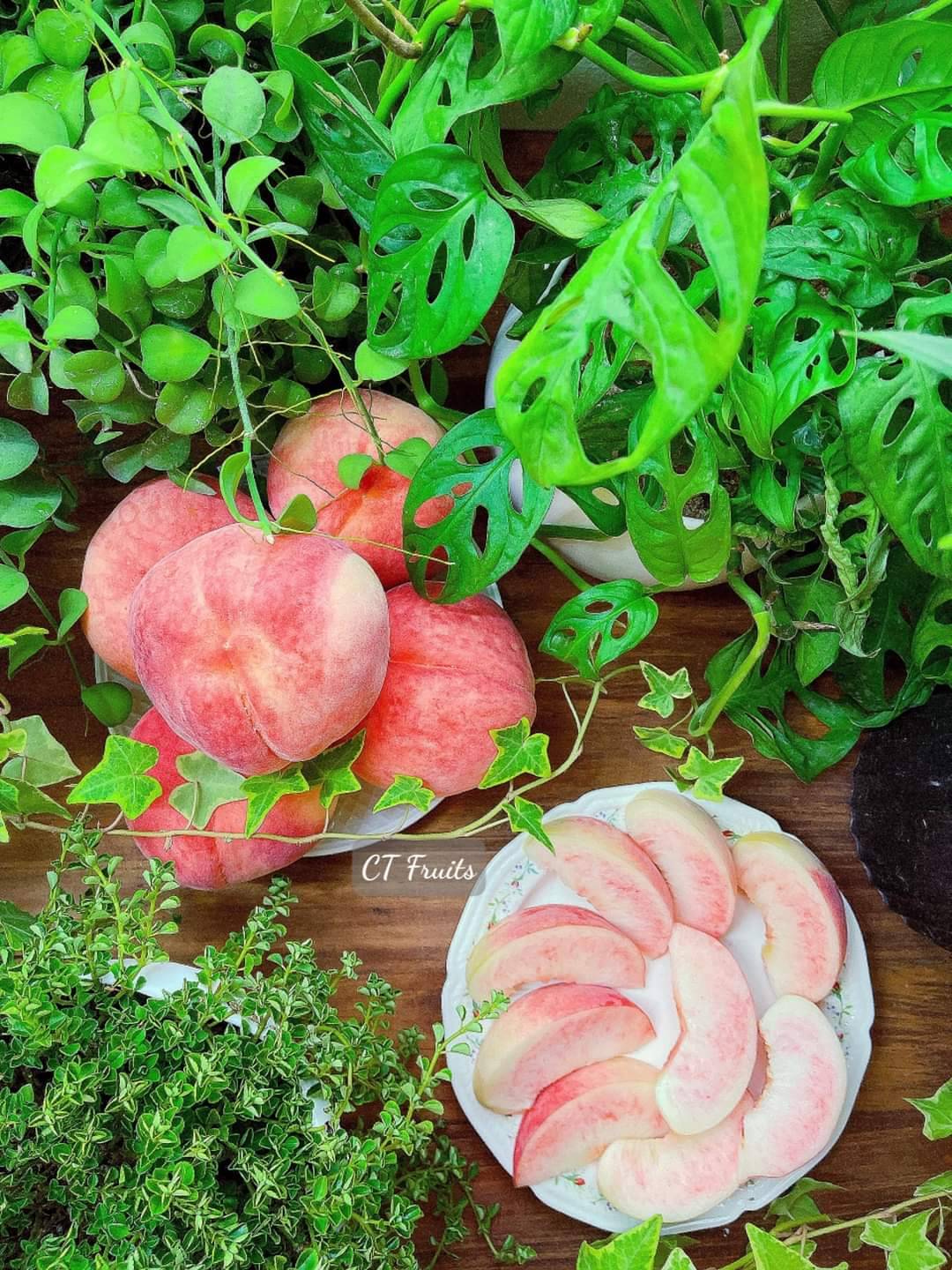 Trái cây tươi Vũng Tàu - Khám Phá Hương Vị Tươi Mát Từ Biển Cả