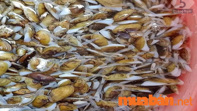 Don – Đặc sản Quảng Ngãi