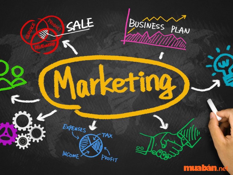 Ngành kinh doanh là gì? - Chuyên ngành Marketing hấp dẫn rất nhiều bạn trẻ đam mê kinh doanh
