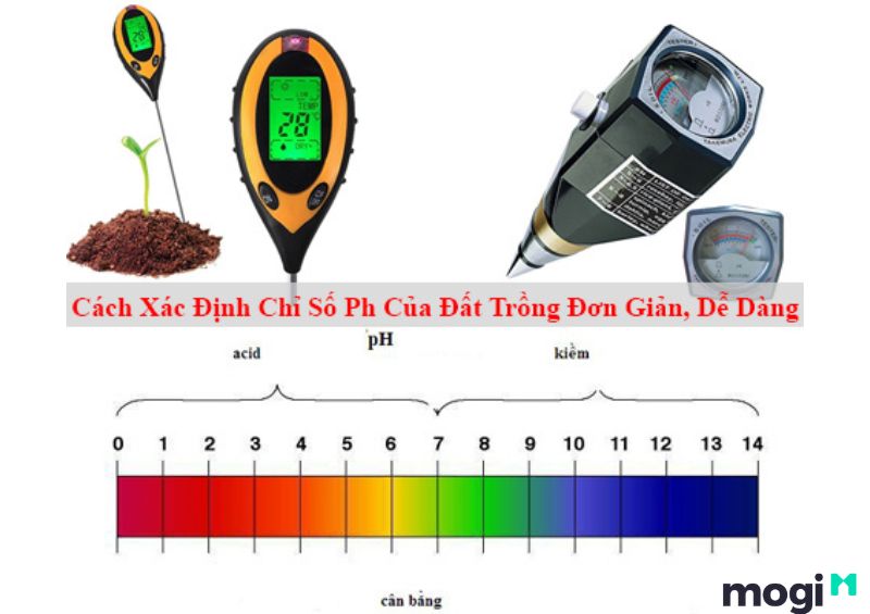 Cách lấy mẫu thử pH của đất sao cho đúng?
