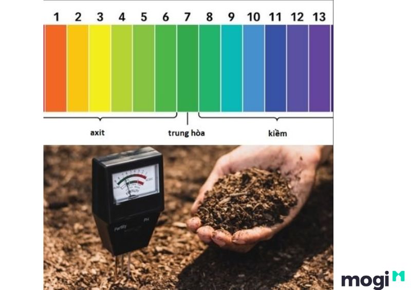 Ý nghĩa của chỉ số pH trong đất
