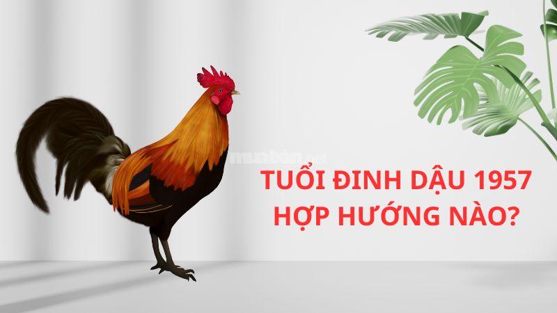 Nam 1957 Hợp Hướng Nào? Tìm Hiểu Các Hướng Tốt Cho Nam Mạng 1957
