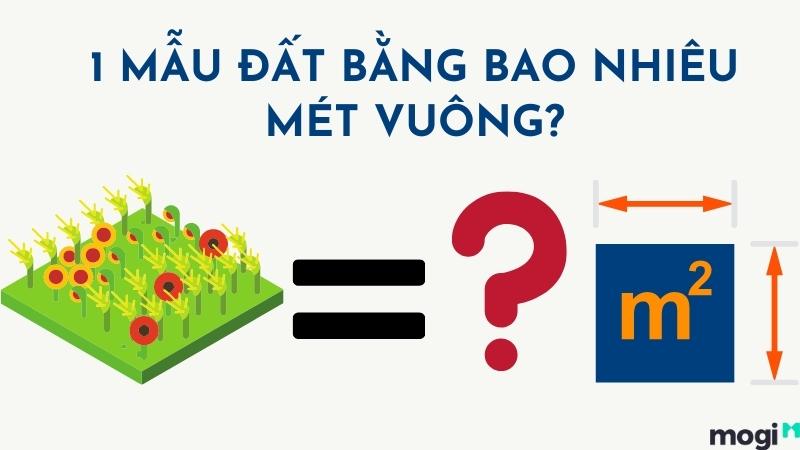 Mẫu đất có diện tích bao nhiêu m2? Cách chuyển đổi từ mẫu sang m2, sào ...
