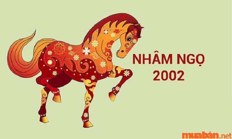 tuổi ngọ hợp màu gì