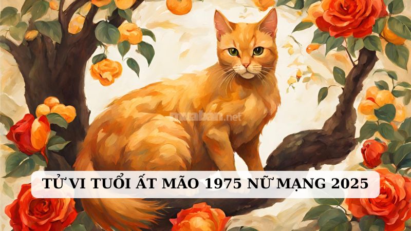 Tử vi 2025 tuổi Mão