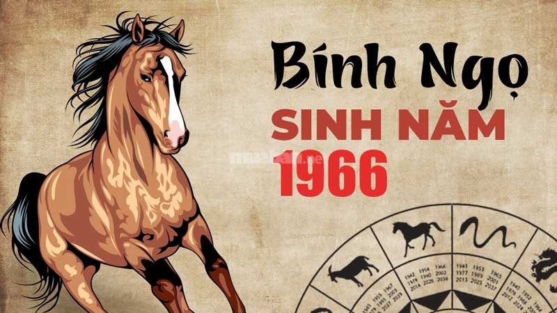 Tử Vi Bính Ngọ 2025