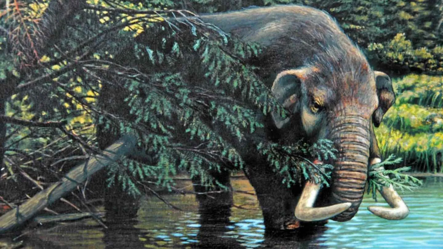 How Thomas Jefferson S Obsession With Mastodons Partly Fueled The Lewis And Clark Expedition