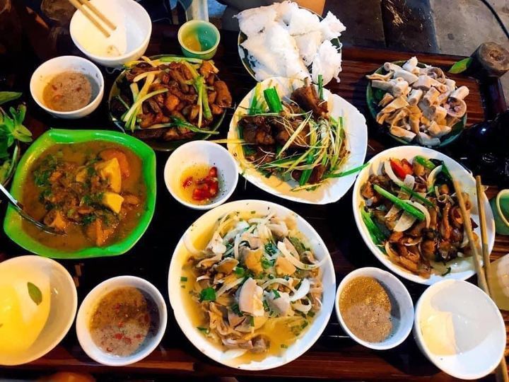 DĨA LÒNG RÁN VÀNG ƯƠM BÀY BIỆN BẮT MẮT TRÊN MẸT TRE