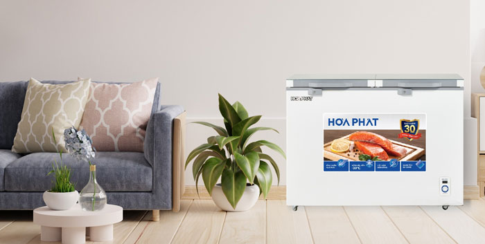 tủ đông Hòa Phát HPF BD6245.T1 có thiết kế hiện đại